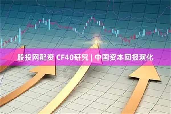 股投网配资 CF40研究 | 中国资本回报演化